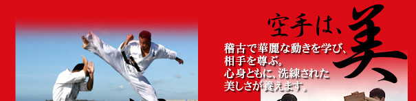 ���͔��@�m�Âŉؗ�ȓ������w�сA����𑸂ԁB�S�g�Ƃ��ɁA�������ꂽ���������{���܂��B