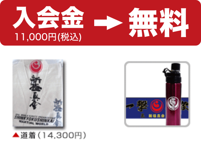 ����������i��11,000/�ō��j�@�����i14,300�~/�ō��j�I���W�i���O�b�Y(�撅20������)