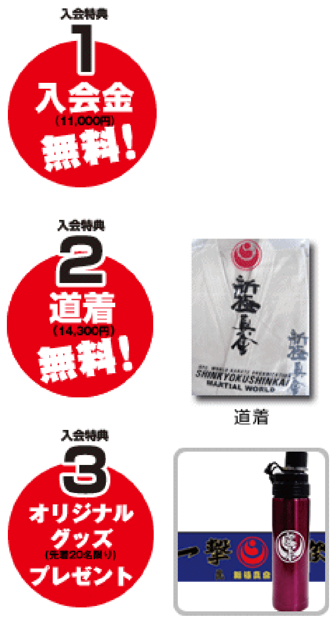 ������T1����������i��11,000/�ō��j�@������T2�����i14,300�~/�ō��j�����@������T3�I���W�i���O�b�Y(�撅20������)�v���[���g