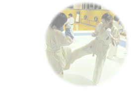 ���i�R��̌m��