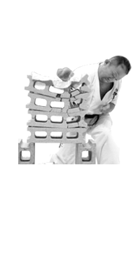 �V�ɐ^��@�V���x���E�ΐ쌧����