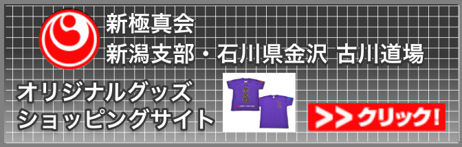 �V�ɐ^��@�V���x���E�ΐ쌧���� �Ð쓹��I���W�i���O�b�Y�@�V���b�s���O�T�C�g�@�N���b�N�I